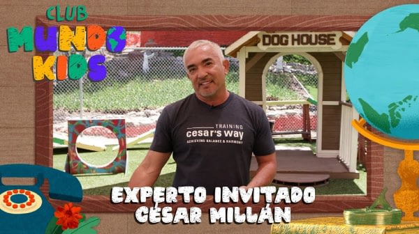 César Millán enseña a Boots un truco, ve y aprende cómo hacerlo con tu mascota | Club Mundo Kids